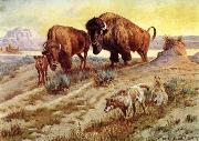 unknow artist Buffalo Family oil